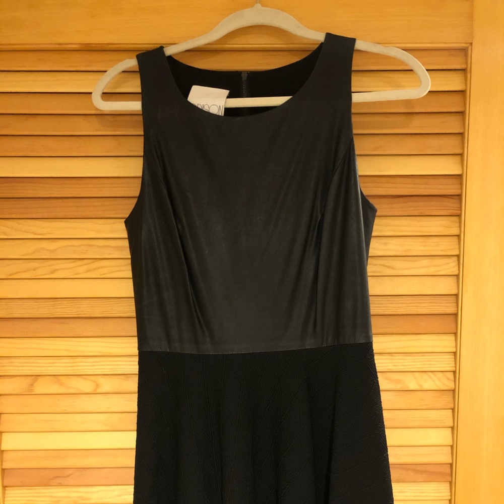 Addison Faux Leather Mini Dress